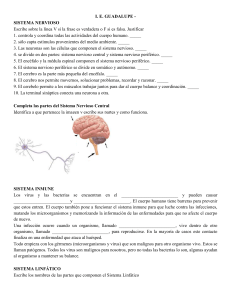 Grado 10º- Enfasis - Sistema nervioso inmune linfatico