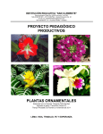 proyecto pedagógico productivos plantas ornamentales