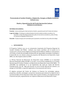 TdR`s Fondo Nacional de Carbono