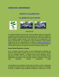 Proyecto El mundo de las plantas - Biodiversidad