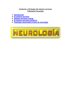 Patologías del Sistema Nervioso