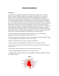 Sistema Circulatorio y Frecuencia Cardiaca (374064)