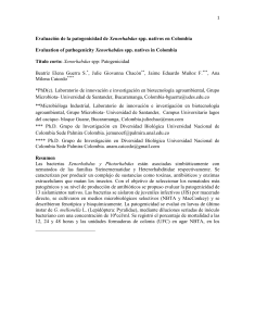 DOC - Universidad Nacional de Colombia