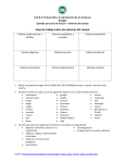 B.4 Ejemplo para plan de leccion - Sistemas del