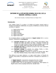 Informe 2010-2011 - Dirección de Geología y Minas