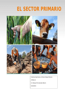 caracteristicas de la actividad agraria