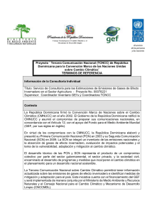 Terminos de Referencia - UNDP | Procurement Notices