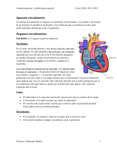 Tema 4 - Aparato circulatorio