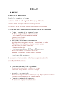 tarea 10 teoria - entrenamientosmiercoles