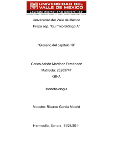 Glosario - Universidad del Valle de México Campus Hermosillo
