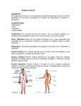 File - grupo 1-9