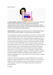 Clasificación de compuestos orgánicos