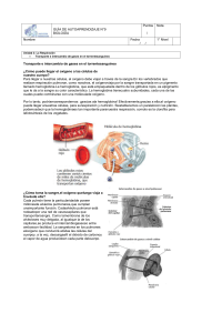 GUÍA DE AUTOAPRENDIZAJE N°9 BIOLOGÍA Puntos / Nota