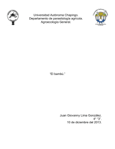 Universidad Autónoma Chapingo