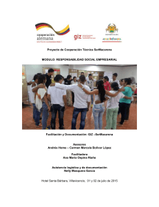 Ayuda Memoria RSE 14/07/2015