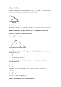 Triángulo rectángulo
