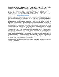 Enterococcus faecium RESISTENTES A DAPTOMICINA Y/O