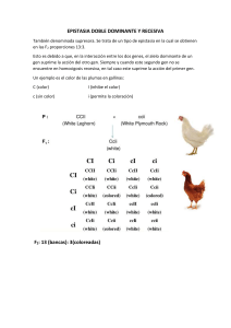 epistasia doble dominante y recesiva