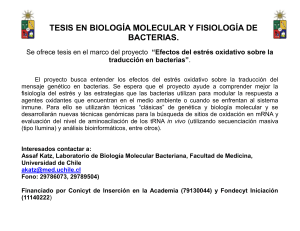 Tesis BioMolec - Universidad de Chile