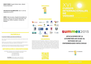 Programa Te&oacute;rico - Area de salud de Badajoz