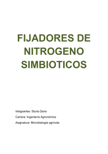 Fijadores de nitrogeno Sturla 2015