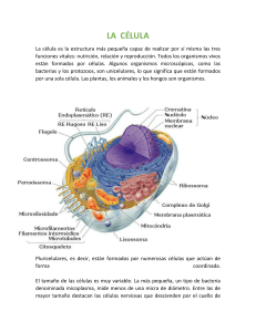 Lectura: La célula y su estructura
