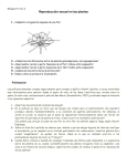 Reproducción sexual en las plantas