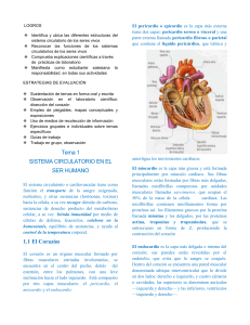 1.1.1 Contracción del corazón