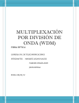 multiplexación por división de onda (wdm)