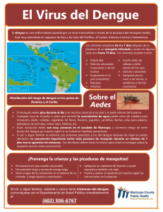El Virus del Dengue