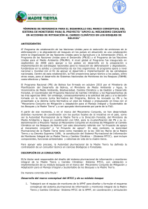 T&Eacute;RMINOS DE REFERENCIA PARA EL DESARROLLO DEL