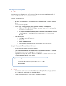 Ejemplo: Tiña inguinocrural - medicina