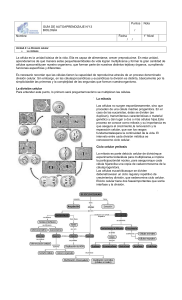 GUÍA DE AUTOAPRENDIZAJE N°13 BIOLOGÍA Puntos / Nota