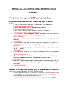 Medidas que benefician al sistema nervioso