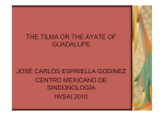 the tilma or the ayate of guadalupe josé carlos espriella godinez