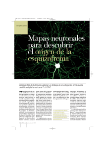 Mapas neuronales para descubrir el origen de la esquizofrenia.