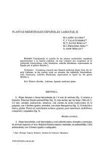 Plantas medicinales españolas: Labiatae, II