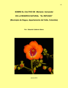 SOBRE EL CULTIVO DE Meriania hernandoi EN LA RESERVA
