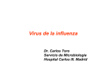 Virus Influeza 2010 Dr. Carlos Toro. Servicio Microbiología Carlos III