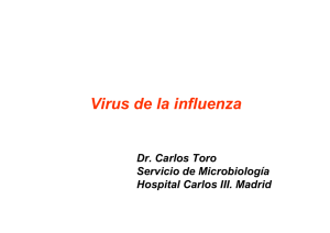 Virus Influeza 2010 Dr. Carlos Toro. Servicio Microbiología Carlos III