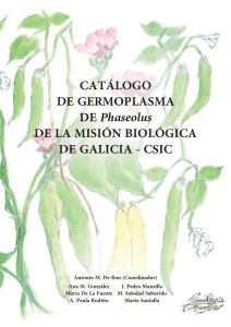 CATALOGO DE GERMOPLASMA DE Phaseolus