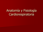Anatomía y Fisiología Cardiorespiratoria