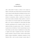 CAP&Iacute;TULO 1 CULTURA POL&Iacute;TICA &iquest;Qu&eacute; es cultura pol&iacute;tica? El