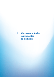 Marco conceptual e instrumentos de medición I.
