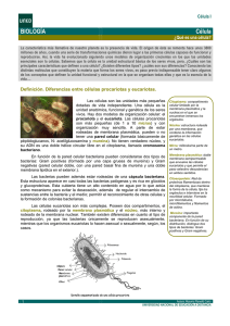 BIOLOGÍA Célula