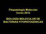 Fitopatología Molecular Curso 2012 BIOLOGÍA