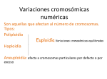 Variaciones cromosómicas numéricas