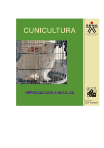 06. reprodución cunicolas