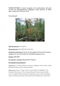 causado por Bursaphelenchus xylophilus: mejora genética de Pinus