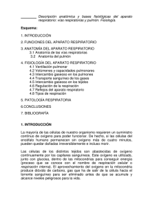 Descripción anatómica y bases fisiológicas del aparato respiratorio